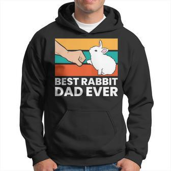 Best Rabbit Dad Ever Dad Rabbit Hoodie | Mazezy