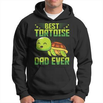 Best Tortoise Dad Ever Vintage Retro Papa Fathers Day Hoodie - Seseable
