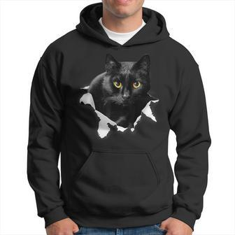 Black Cat Torn Cloth For Cat Lover Cat Dad Cat Mom Hoodie - Thegiftio UK