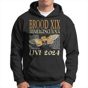 Brood Xix Reemergence Tour 2024 Periodical Cicada Concert Hoodie - Monsterry DE