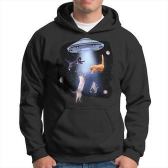 Cat Cat Hoodie - Thegiftio UK