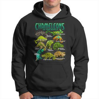 Chameleons Of The World Educational Reptile Lizard Lover Hoodie - Thegiftio UK
