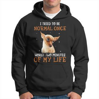 Chihuahua Normalce For Chihuahua Lover Hoodie | Mazezy