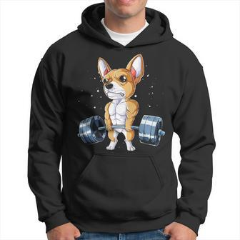 Chihuahua Weightlifting Deadlift Men Fitness Gym Gif Hoodie | Mazezy