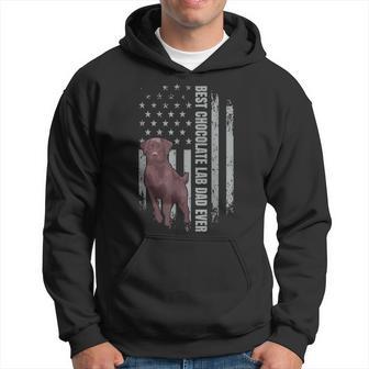 Chocolate Lab Dad American Flag Brown Labrador Retriever Hoodie - Monsterry AU