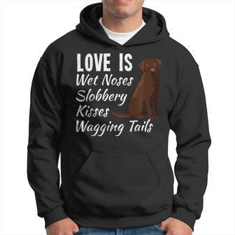 Chocolate Labrador Retriever Dog Love Lab Dogs Saying Hoodie - Monsterry UK