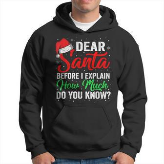 Christmas Dear Santa Before I Explain How Much Do You Know Hoodie - Seseable