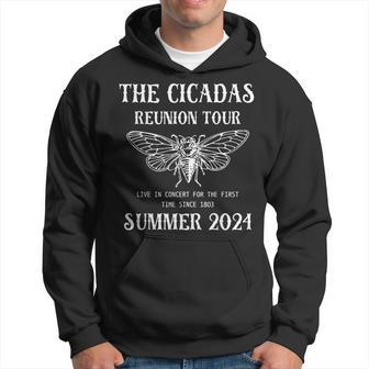 Cicada 2024 Cicada Reunion Tour Hoodie - Seseable