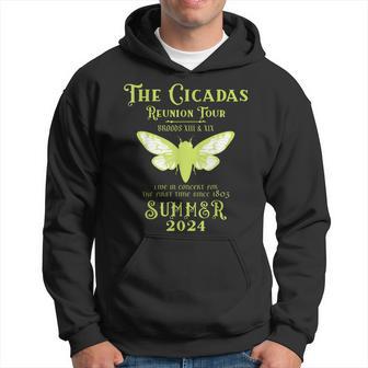 The Cicada Reunion US Tour 2024 Cicada Concert Hoodie - Monsterry DE