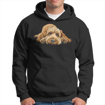 Cockapoo Chilling Hoodie - Thegiftio UK