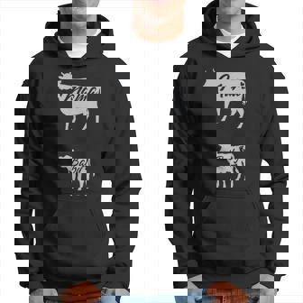 Cows Pregnancy Baby Announcement Women Hoodie | Mazezy