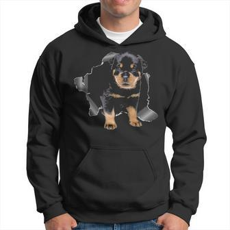 Cute Rottweiler Torn Cloth Rottweiler Lover Dog Owner Puppy Hoodie | Mazezy