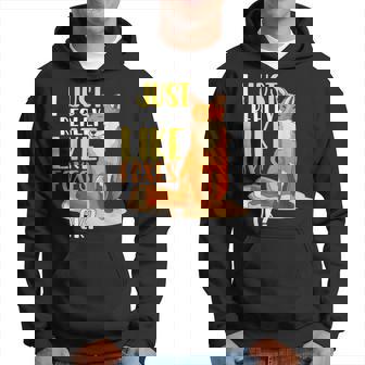 Divertida Para Amantes De Los Zorros Con Texto En Inglés I Just Really Like Foxes Ok Sudadera - Regaloses