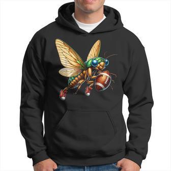 Football Cicada Entomology 2024 Broods Xix Xiii Usa Tour Hoodie - Thegiftio UK