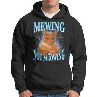 Cat Meme With Mewing Not Meowing Hoodie - Seseable