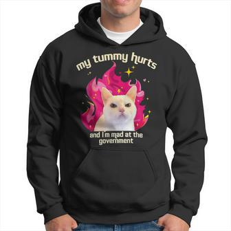 Cat My Tummy Hurts And I’M Mad At The Government Hoodie | Mazezy