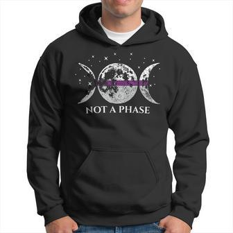 Demisexual Pride Flag Not A Phase Hoodie - Monsterry