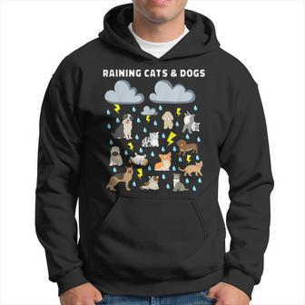English Idiom Raining Cats And Dogs Puppies Kitten Hoodie - Seseable