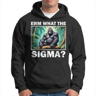 Erm What The Sigma Ironic Meme Brainrot Quote Hoodie - Monsterry DE