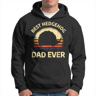 Hedgehogs Pet Animal Quote For A Hedgehog Lover Dad Hoodie - Monsterry