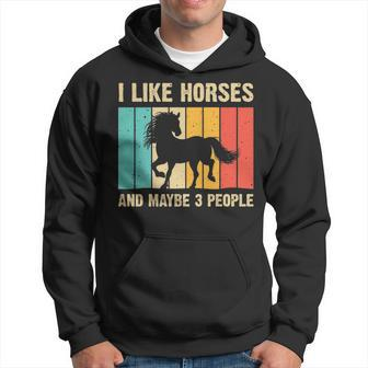 Horse Art Horse Lover Men Women Boys Girls Introvert Hoodie | Mazezy