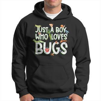 Insect Just A Boy Who Loves Bugs Boys Bug Hoodie | Mazezy CA