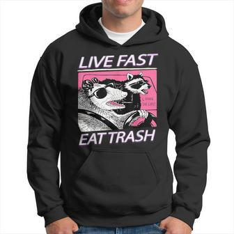 Racoon Live-Fast Eat Trash Retro Vintage Trash-Pandas Hoodie - Thegiftio UK