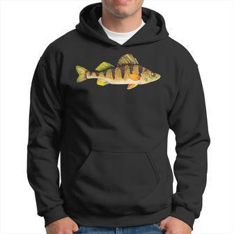 Yellow Perch Fishing Freshwater Fish Angler Hoodie - Monsterry