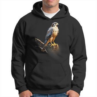 Peregrine Falcon Realistic Nature Volatile Trees Hoodie - Thegiftio UK
