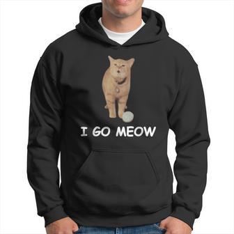 I Go Meow Lustige Singende Katze Meme Silly Cat Goes Meow Kapuzenpullover - Geschenkecke