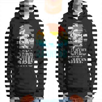 Grandadsaurus T Grandad From Grandchildren T Rex Hoodie - Thegiftio