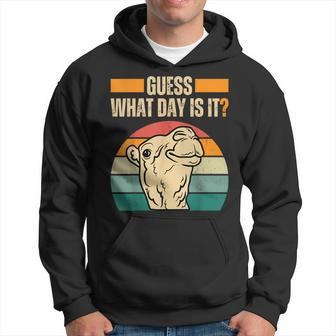 Guess What Day Is It Camel Hump Day Camel Wednesday Hoodie - Monsterry CA
