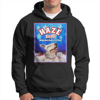 Haze 2020 Pit Bull Dog American Flag Graphics Hoodie - Monsterry