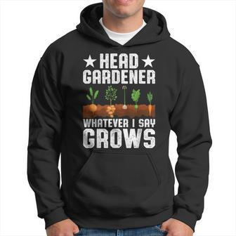Head Gardener Garden Plants Lover Allotment Gardening Hoodie - Thegiftio UK