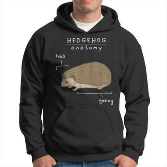 Hedgehog Anatomy Anatomy Of A Hedgehog Hedgehog Hoodie - Thegiftio UK