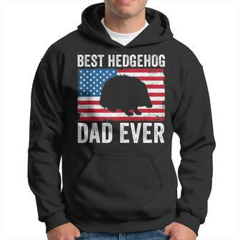 Hedgehog Dad American Flag Hedgehog Lovers Owners Men Hoodie - Monsterry