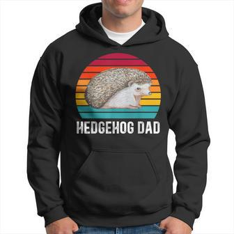 Hedgehog Dad Retro Hedgehog Lover Hedgehog Boy Hedgehogs Hoodie - Monsterry