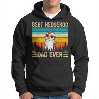 Hedgehog Vintage Best Hedgehog Dad Ever Father's Day Hoodie - Monsterry AU