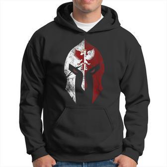 Husaria Polish Warrior Polish Hussar Polish Culture Hoodie - Thegiftio UK