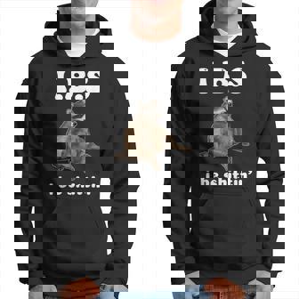 Ibs I Be Shittin' Cute Raccoon Hoodie - Monsterry