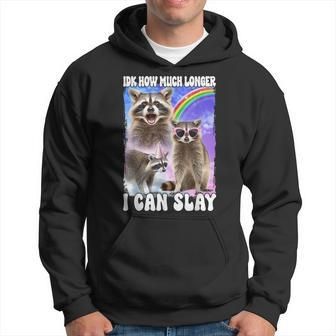 Idk How Much Longer I Can Slay Raccoon Hoodie - Seseable
