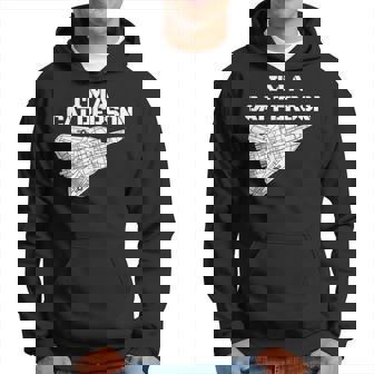 I'm Cat Person F14 Tomcat Fighter Jet Schematic F14 Tomcat Hoodie | Mazezy