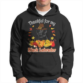 I'm Thankful For My Black Labrador Dog Lover Pumpkin Fall Hoodie | Mazezy