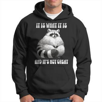 It Is What It Is And Its Not Great Racoon Vintage Meme Hoodie - Monsterry