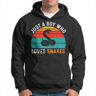 Just A Boy Who Loves Snakes Hoodie - Thegiftio UK