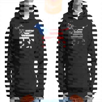 Labrador 4Th Of July Patriotic American Usa Flag Lab Lover Hoodie | Mazezy