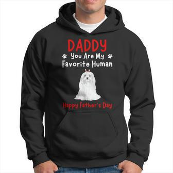 Maltese Daddy Dad You Are My Favorite Human Father's Day Hoodie - Thegiftio UK