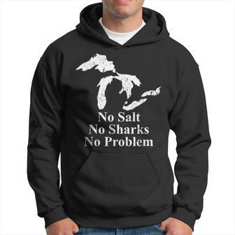 Michigan Great Lakes No Salt No Sharks No Problem Hoodie - Monsterry UK