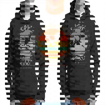 Nerdy Chaotic Neutral Rpg Gamer Hoodie | Mazezy