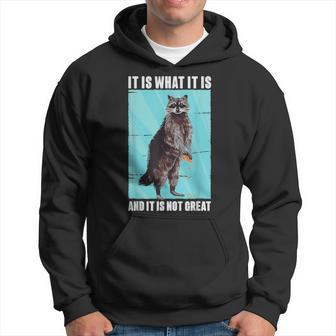 It Is What It Is And It Is Not Great Raccoon Meme Hoodie - Monsterry CA